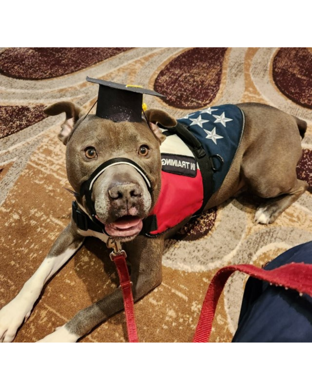 Thanks You For Becoming A Sponsor! image