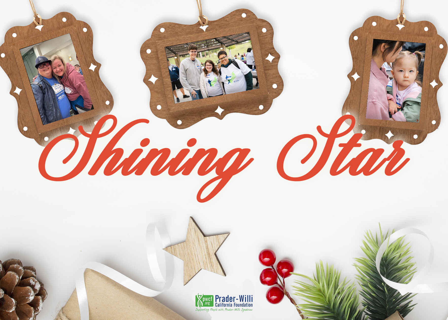 Our Stars Shine the Brightest!  image