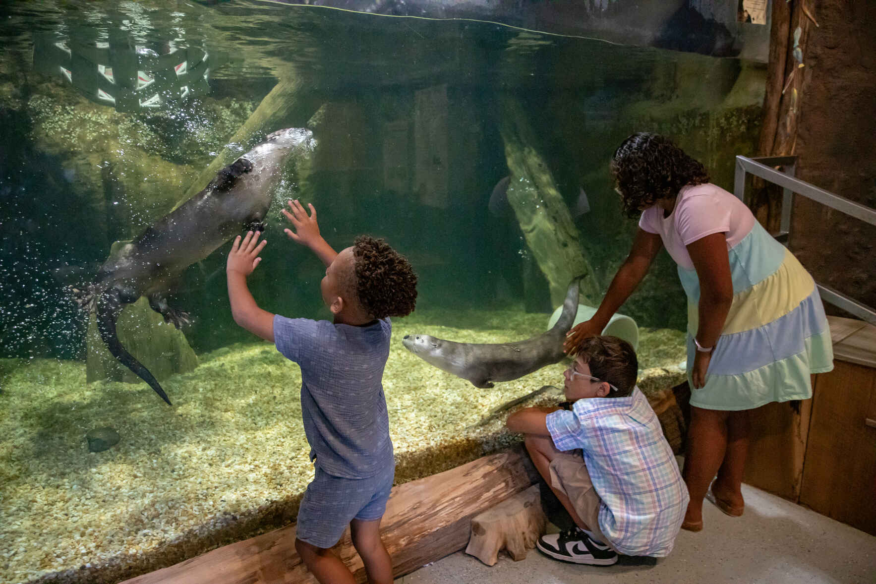 The Delmarva Discovery Museum Bright Futures Annual Fund Drive image