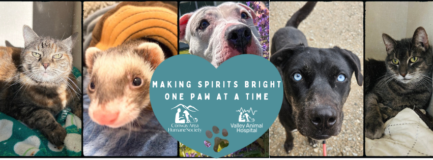 Holiday Giving Tree 2025 image