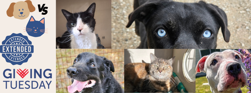 Join us TODAY for Giving Tuesday image