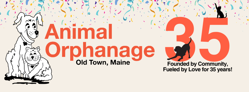 Local Businesses, Big Impact: Join the 35 for 35 Challenge image