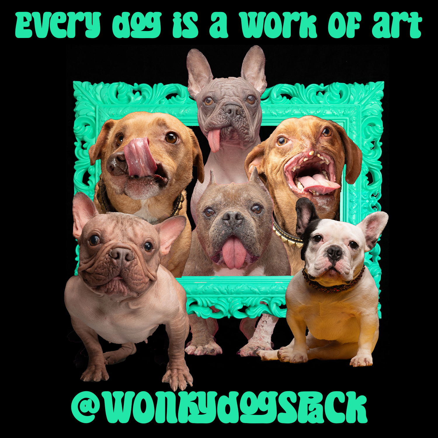 Donate Monthly Via Network for Good  image