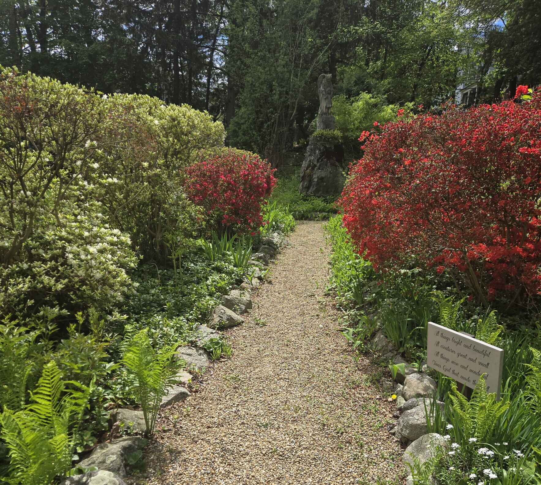 25 Years of Ministry! Let’s Build What’s Next. image