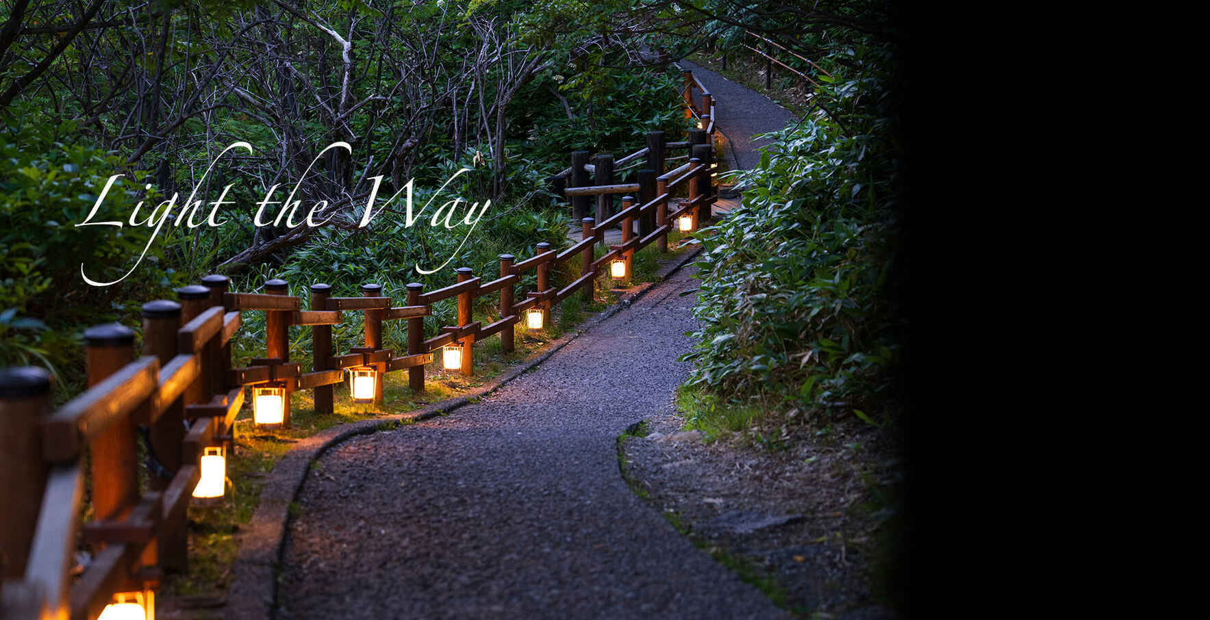 Help Light the Way to Transform Lives! image