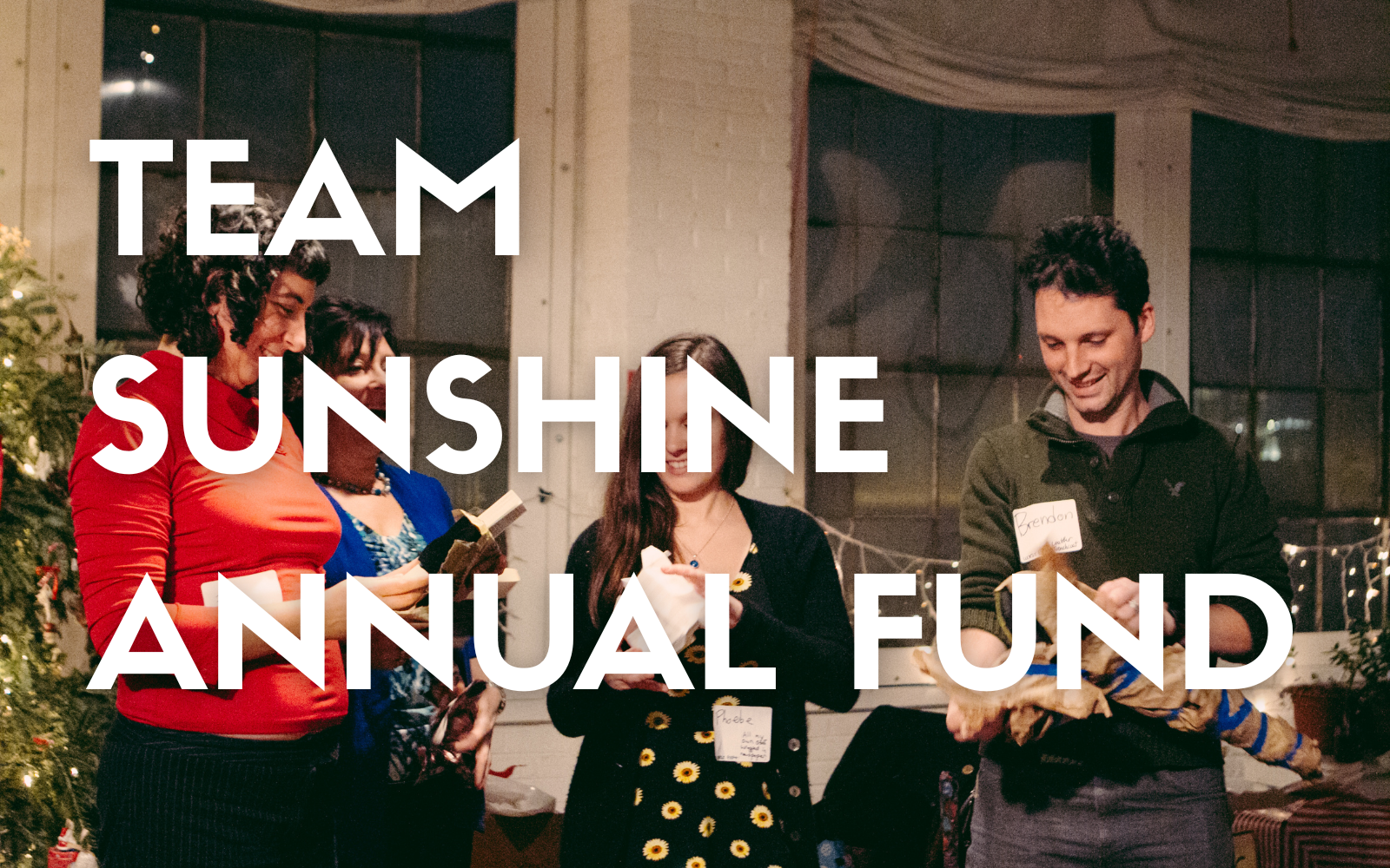 Team Sunshine's Annual Fund image