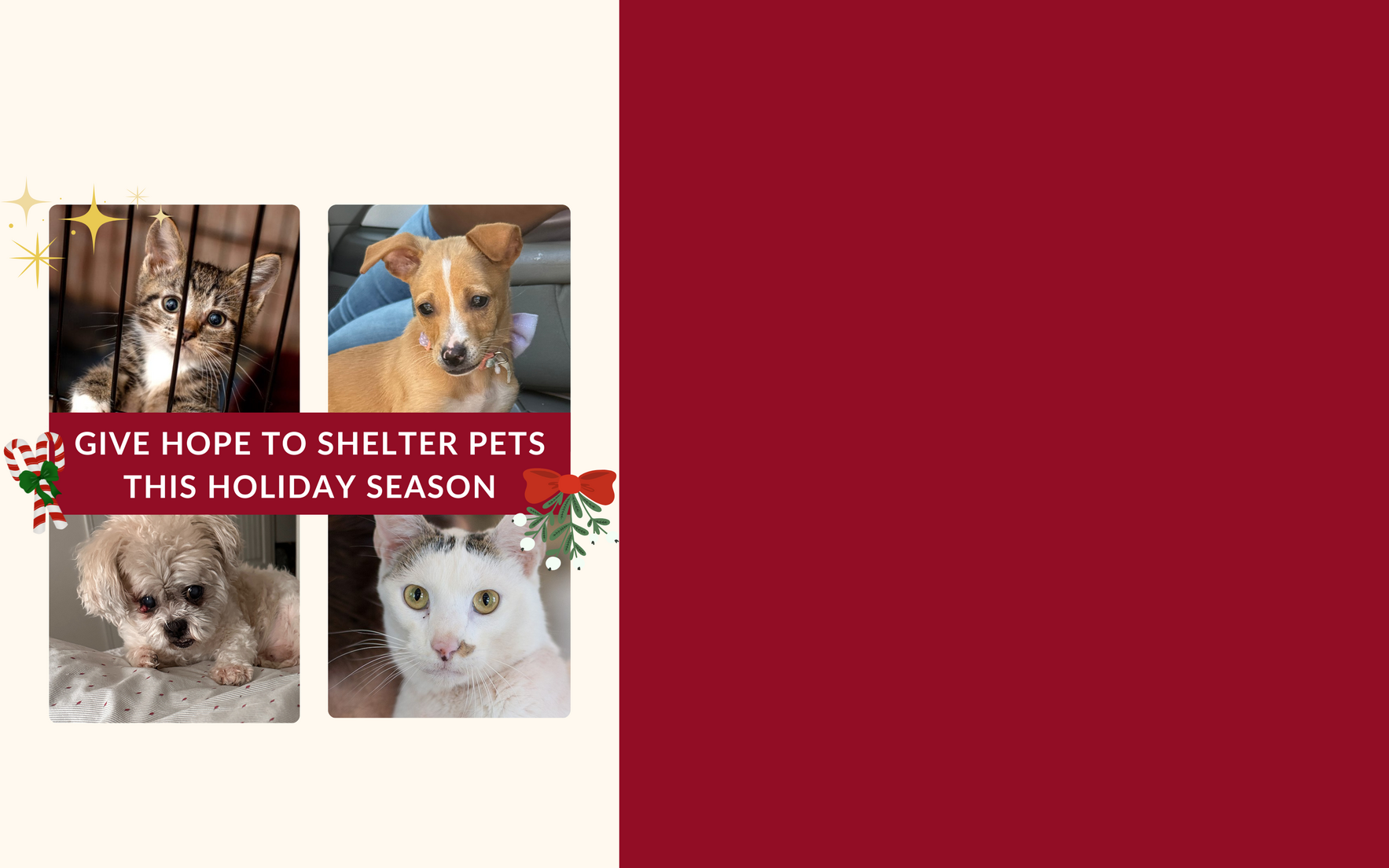 Make a Donation image