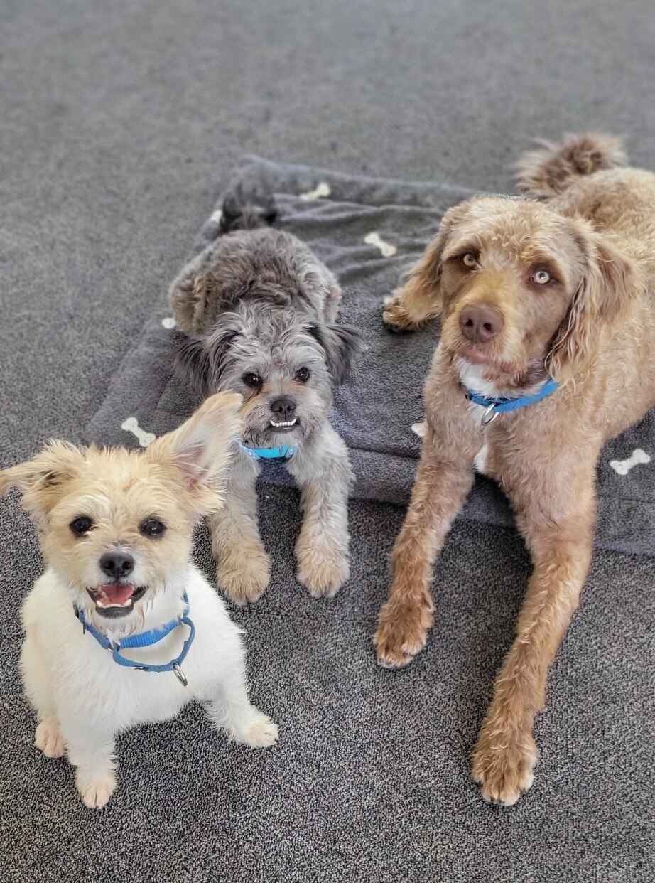 Unleash potential! image