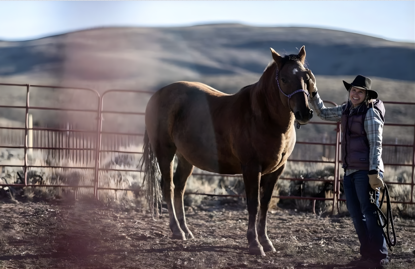 No One Faces Cancer Alone image