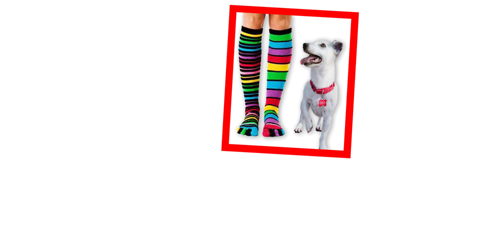 Your gift will be matched 1:1! image