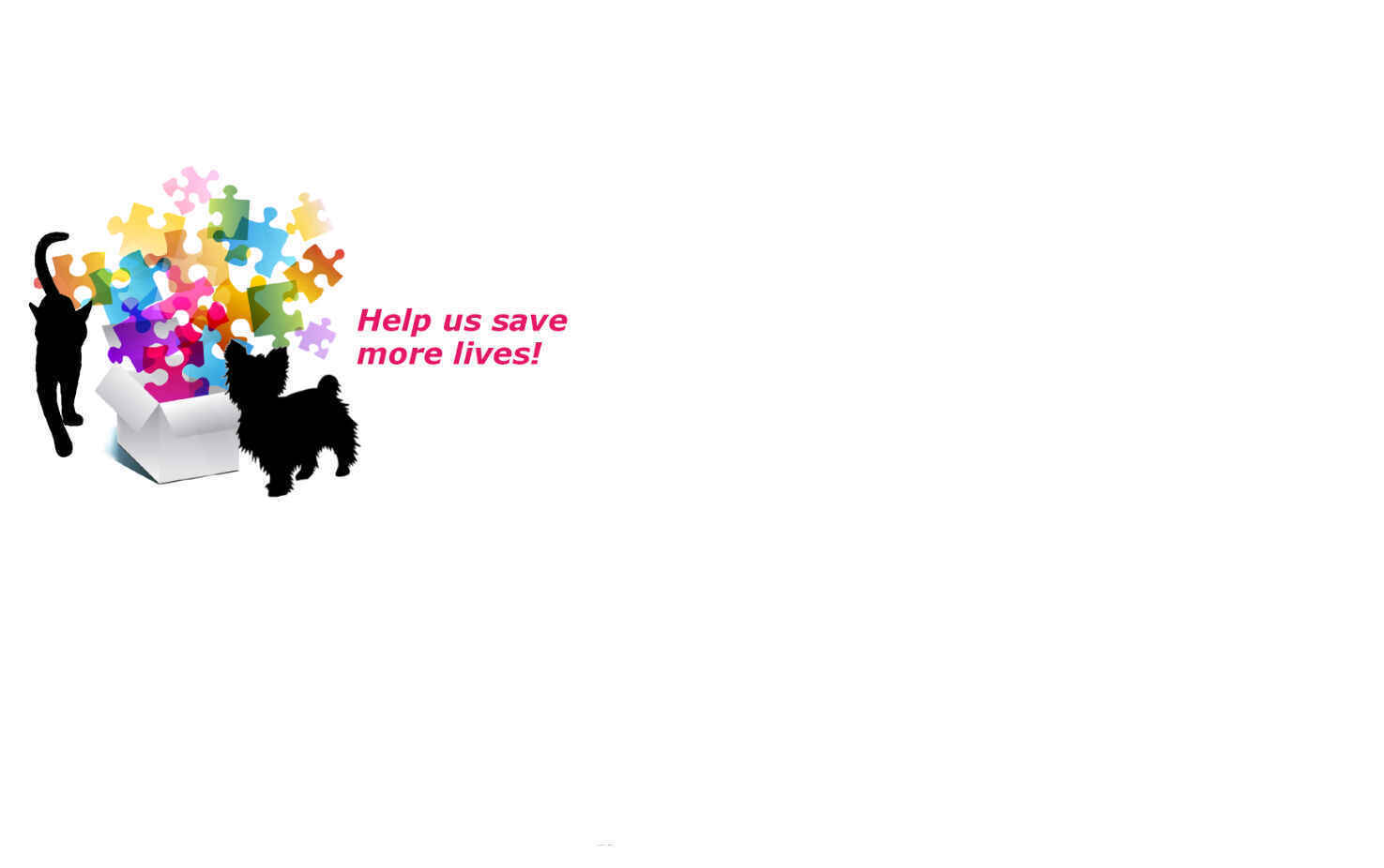 Your gift will be matched 1:1! image