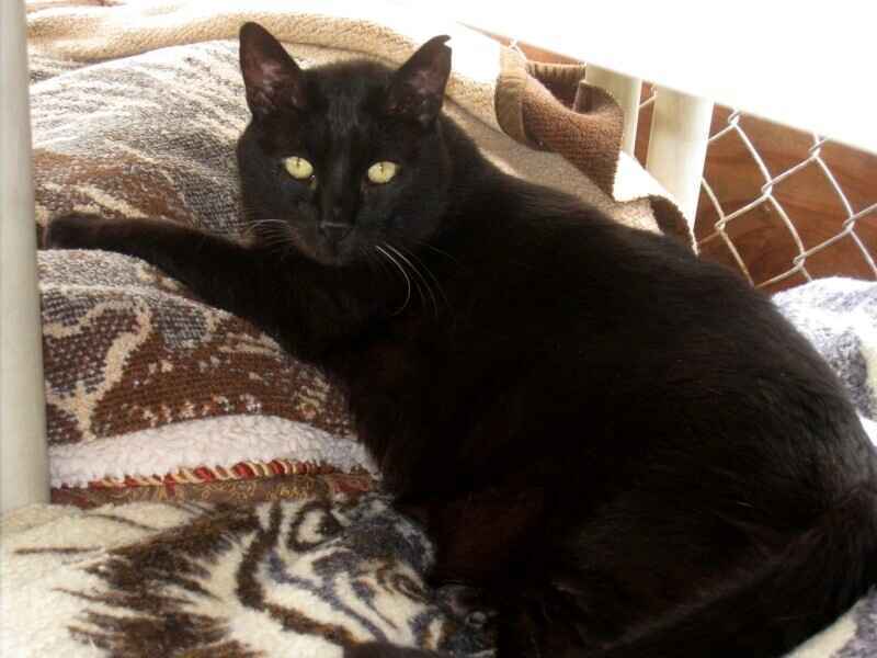 Because We Said Yes! image