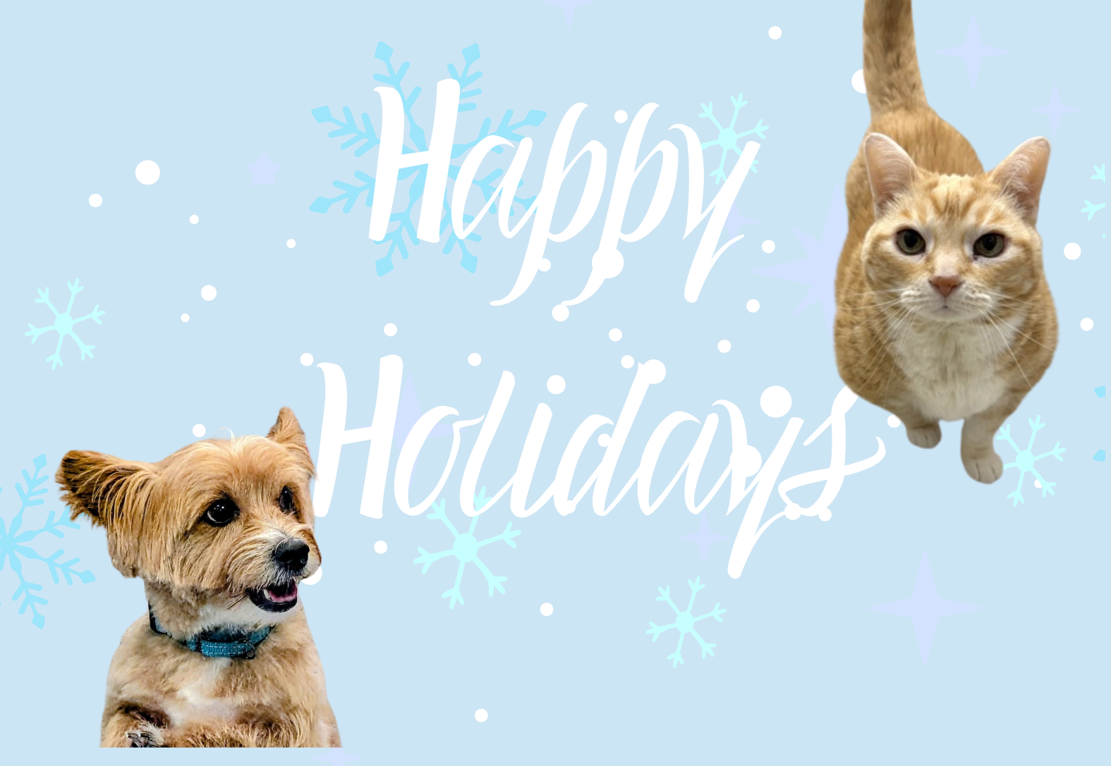 Holiday Season Appeal image