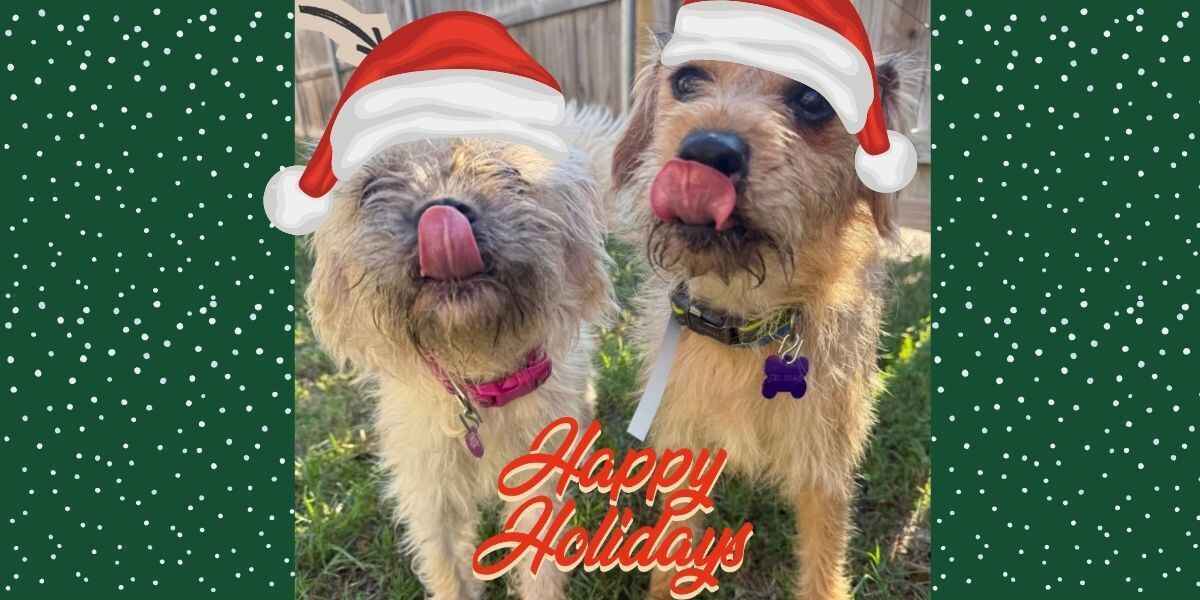 Give Today to Support Footbridge Foundation image