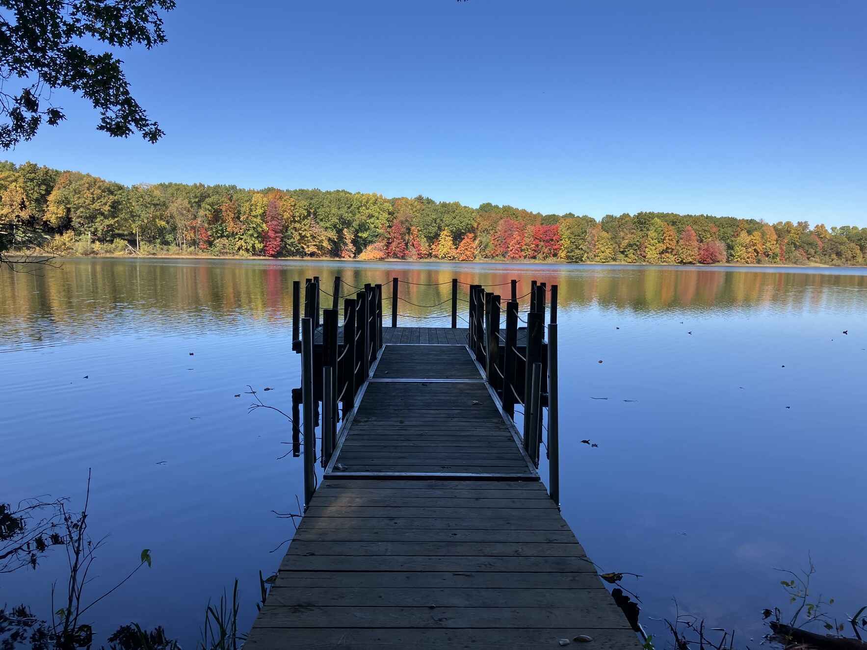 2025-26 Annual Fund Appeal image