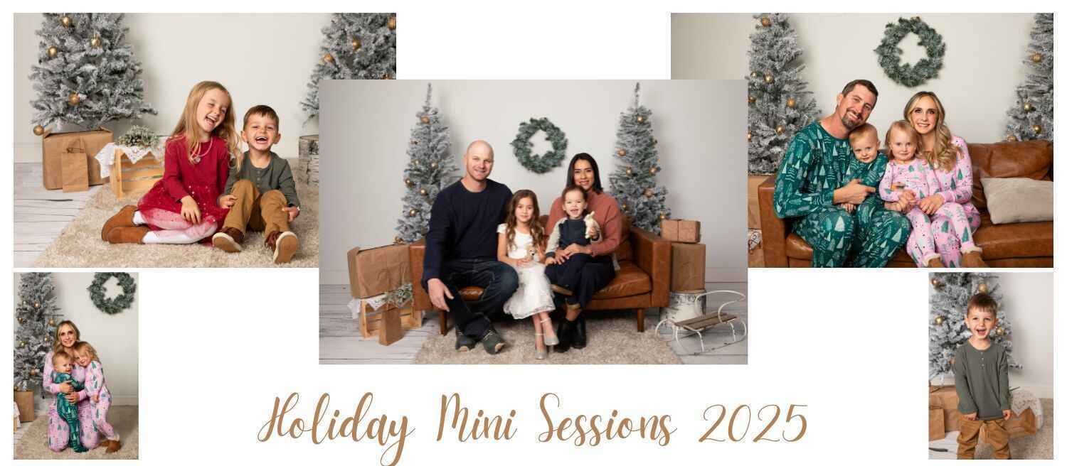 🎄 Support the Durango Food Bank 🎄 image