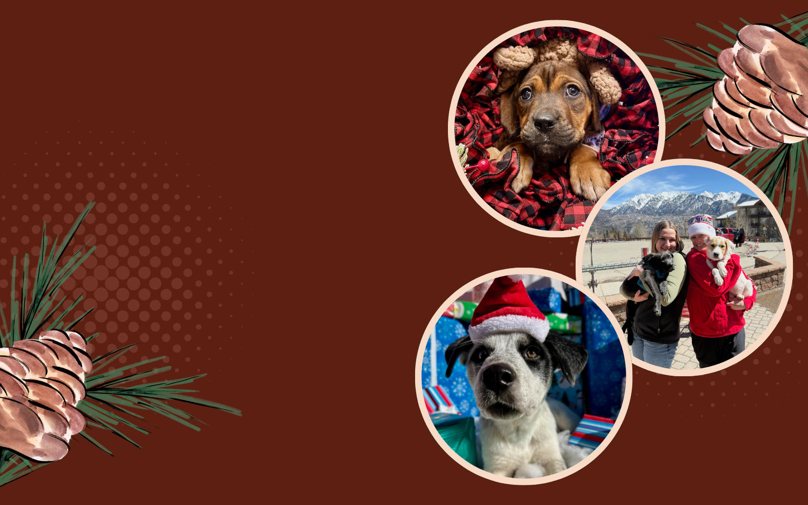 Season of Giving 2025 image