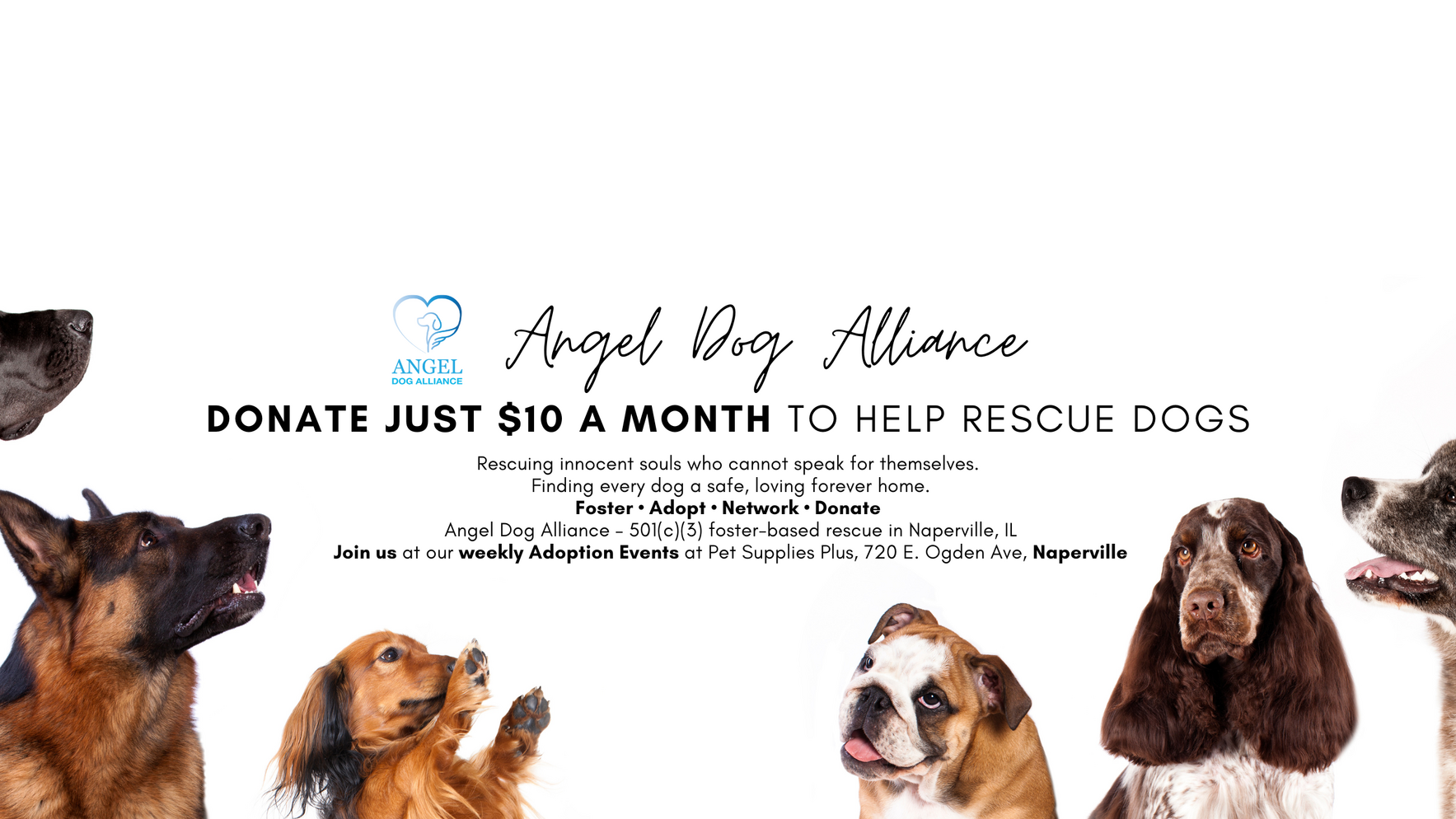 Help us reach fifty monthly supporters at ten dollars. image