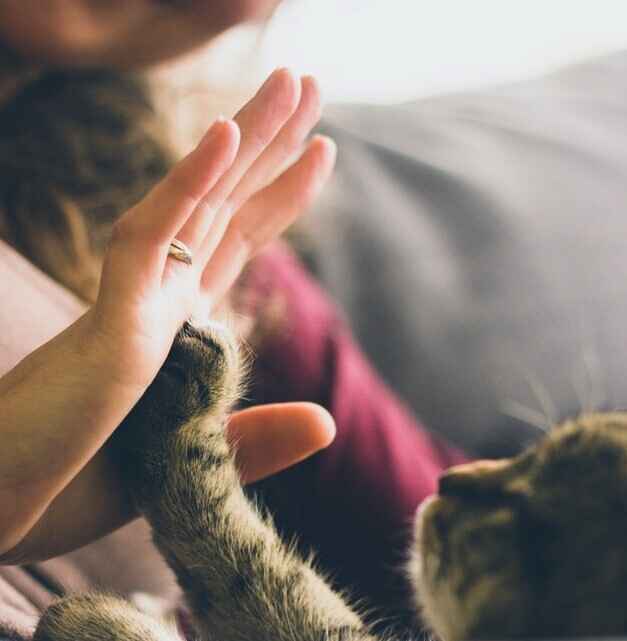 BECOME A PARTNER IN PREVENTION TODAY! image