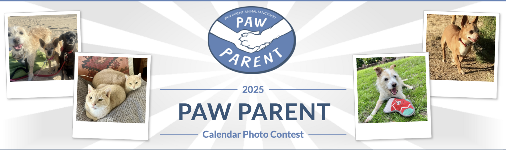 It's time to order your 2026 calendar! image