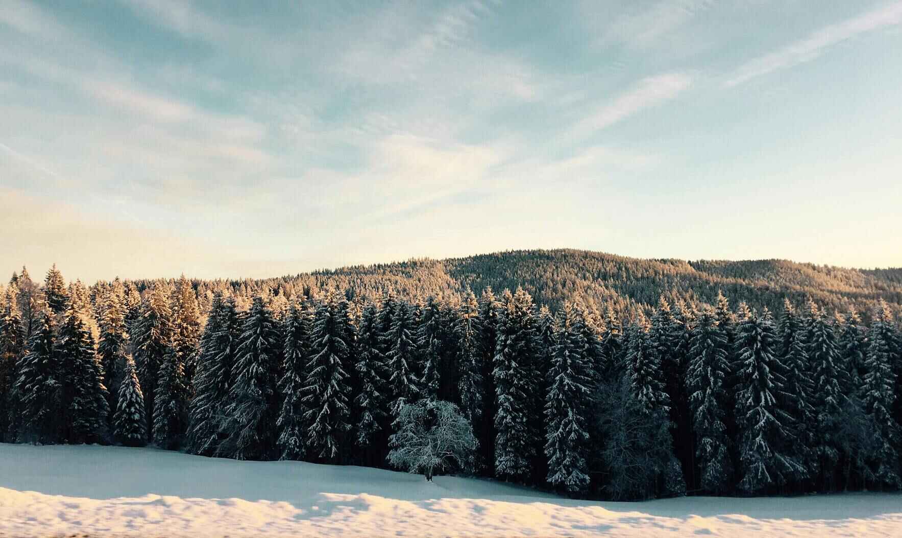 A Generous Donor Will Match Your Year End Gift! image