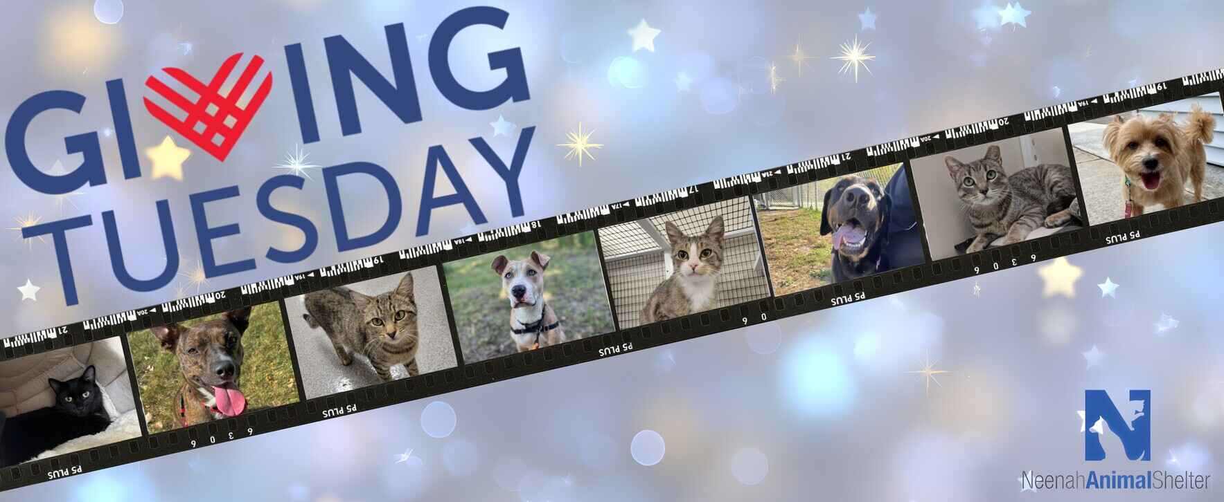 #GivingTuesday 2025 - It Takes A Village image