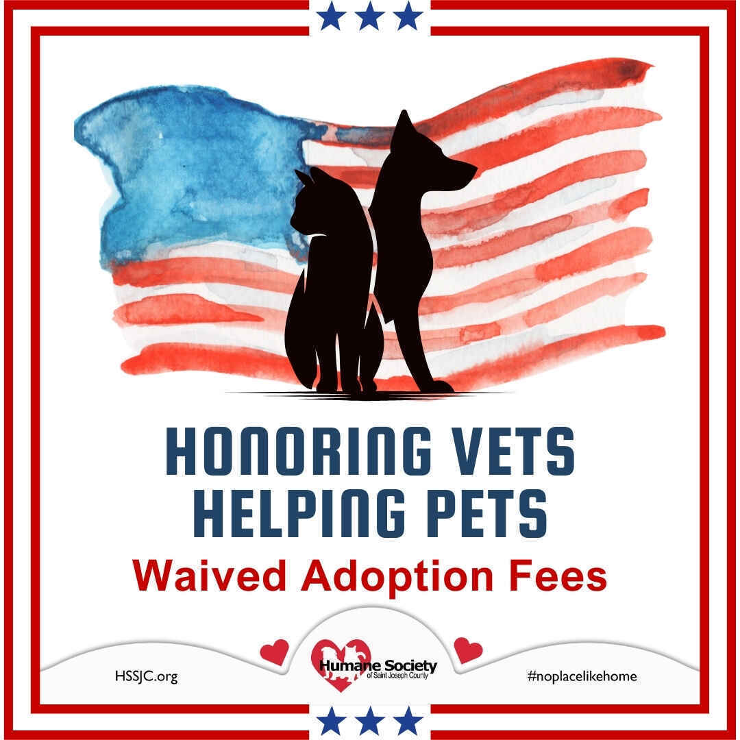 Honoring Vets - Helping Pets image