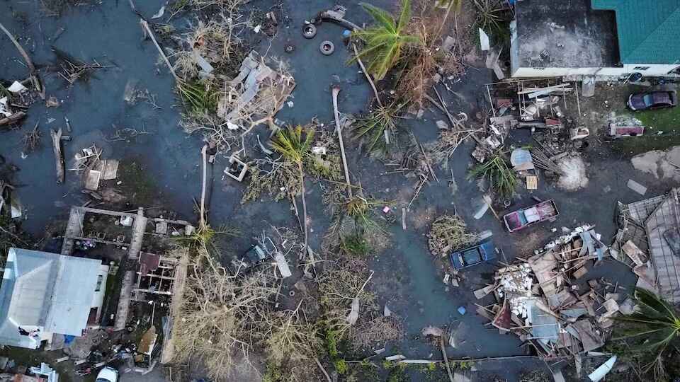 Donate To Grow Crops To Feed the Disaster Affected Region of Jamaica image