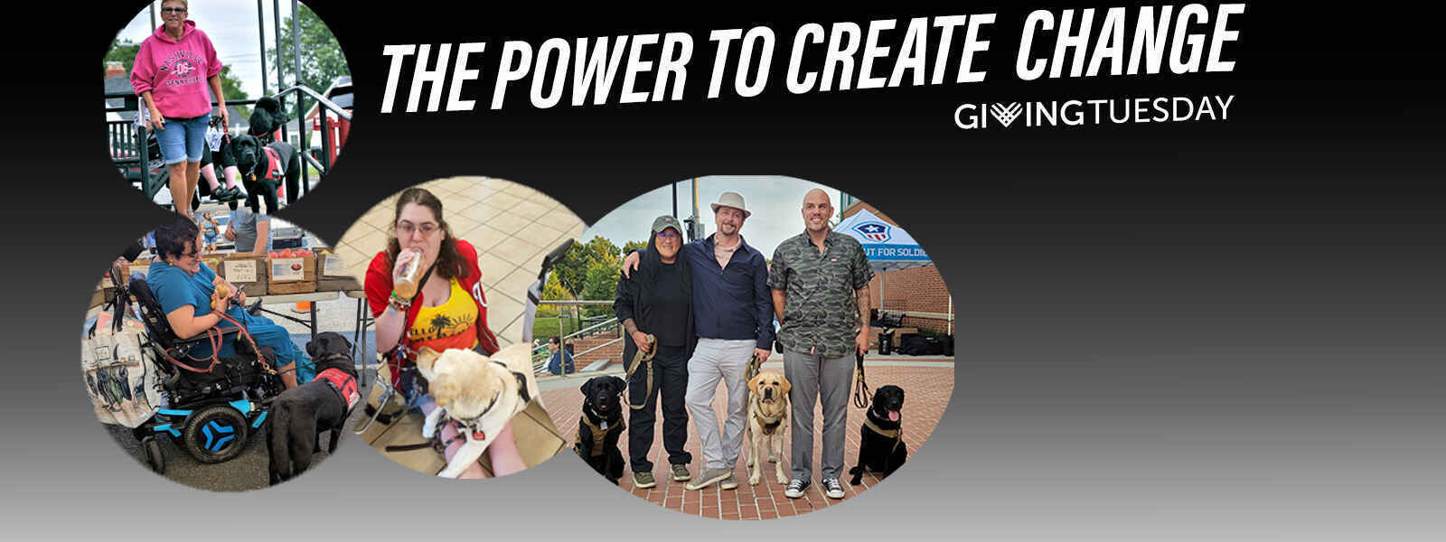 Help Koa Become Someones Hope image