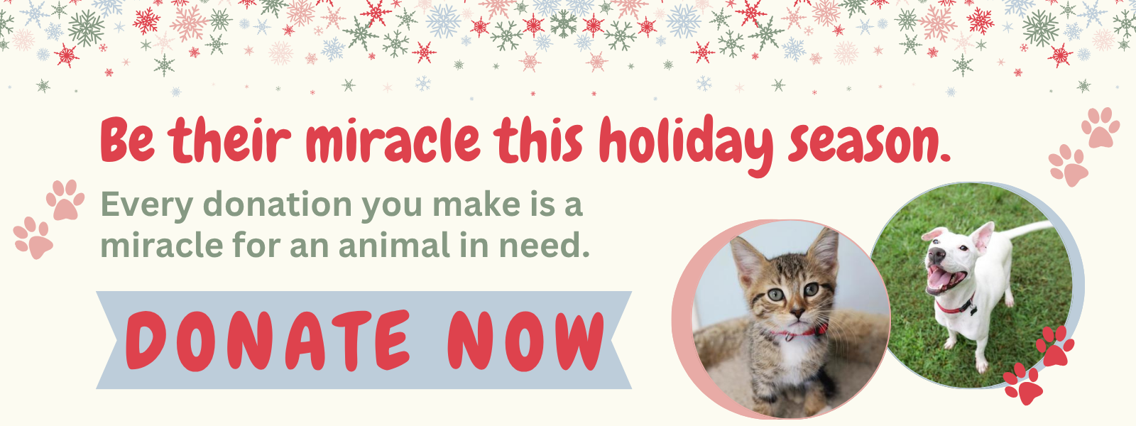 Be Their Miracle This Holiday Season image