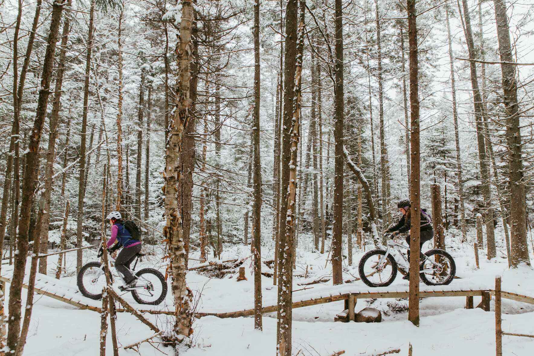 Support BETA's Work, Give Back to the Trails! image