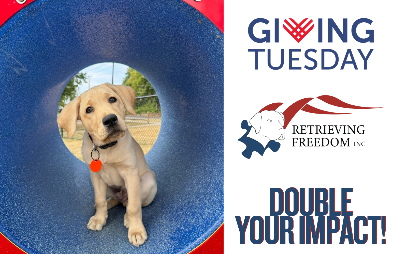Give Today and Your Donation Will Be Matched, Doubling Your Impact for Service Dogs image