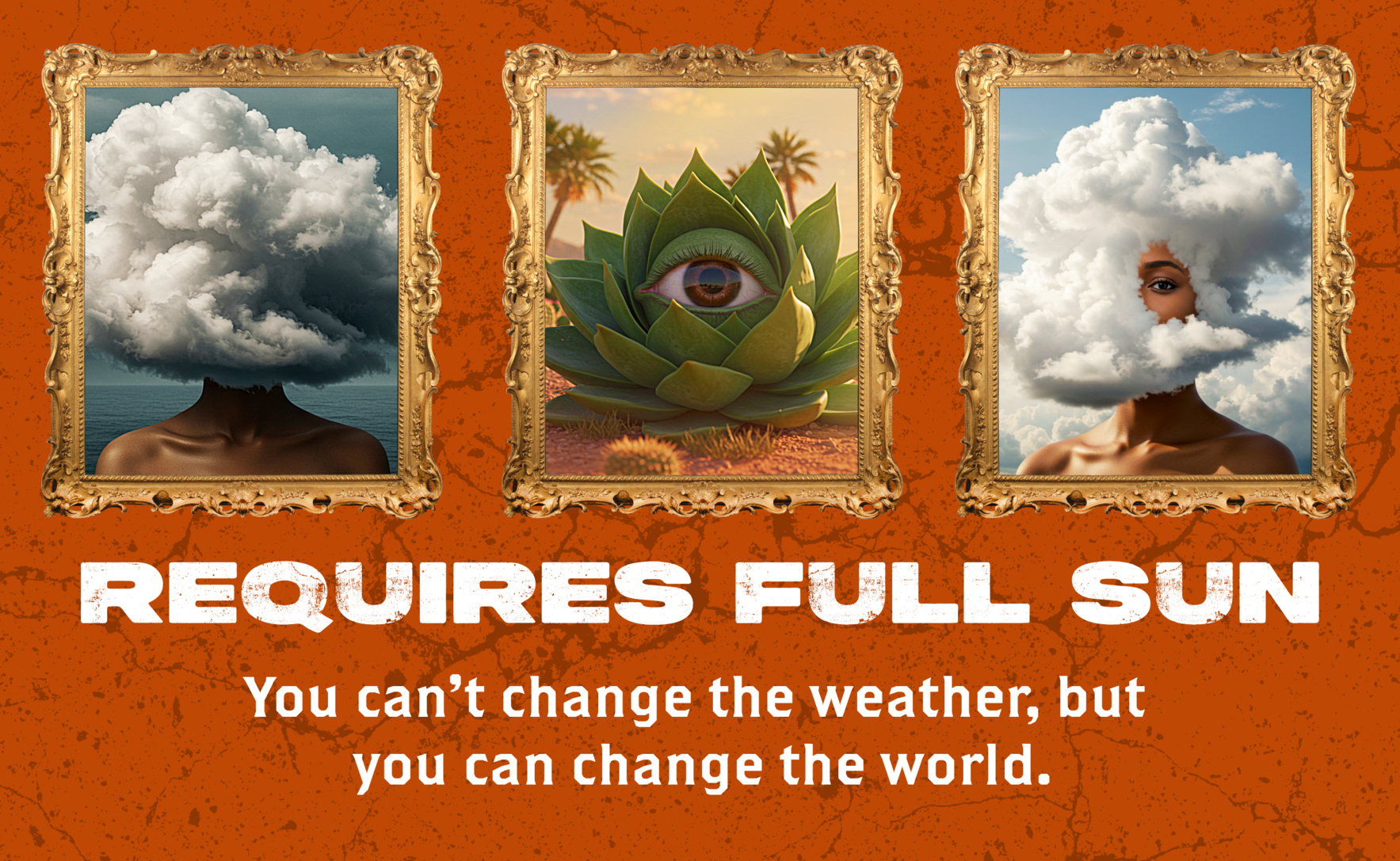 Requires Full Sun image