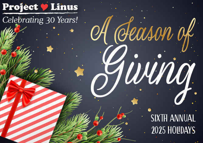 Sixth Annual Season of Giving Event image