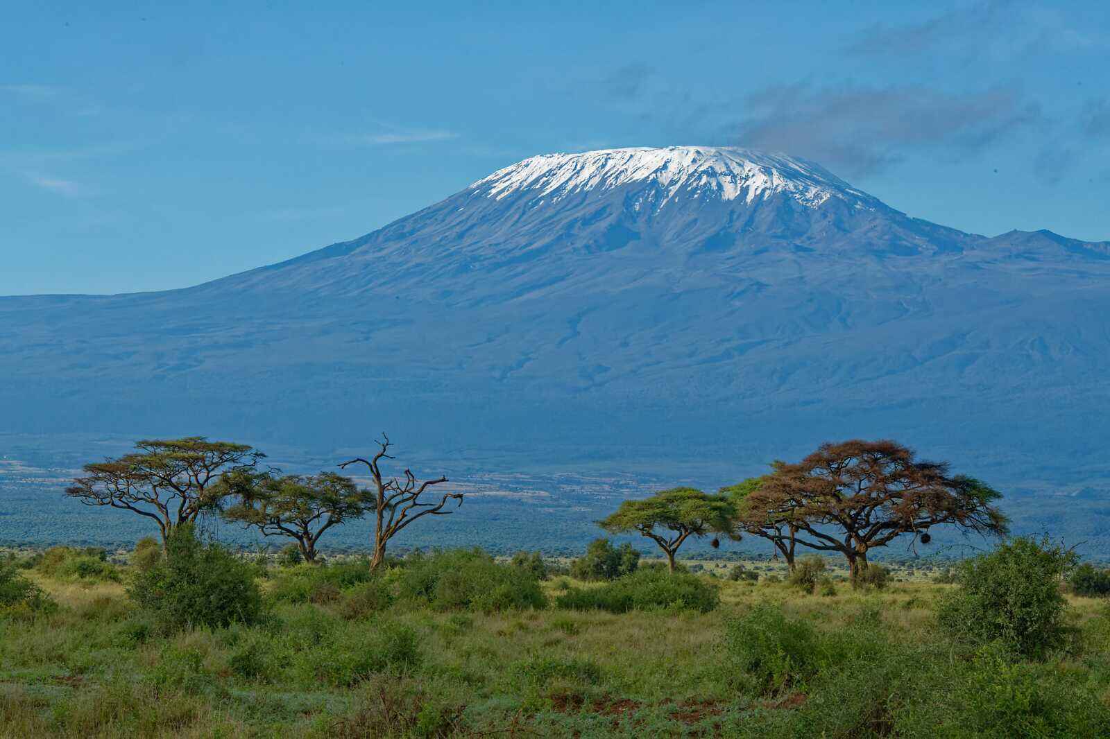 Climbing Kilimanjaro for Baltimore’s Parks & People image