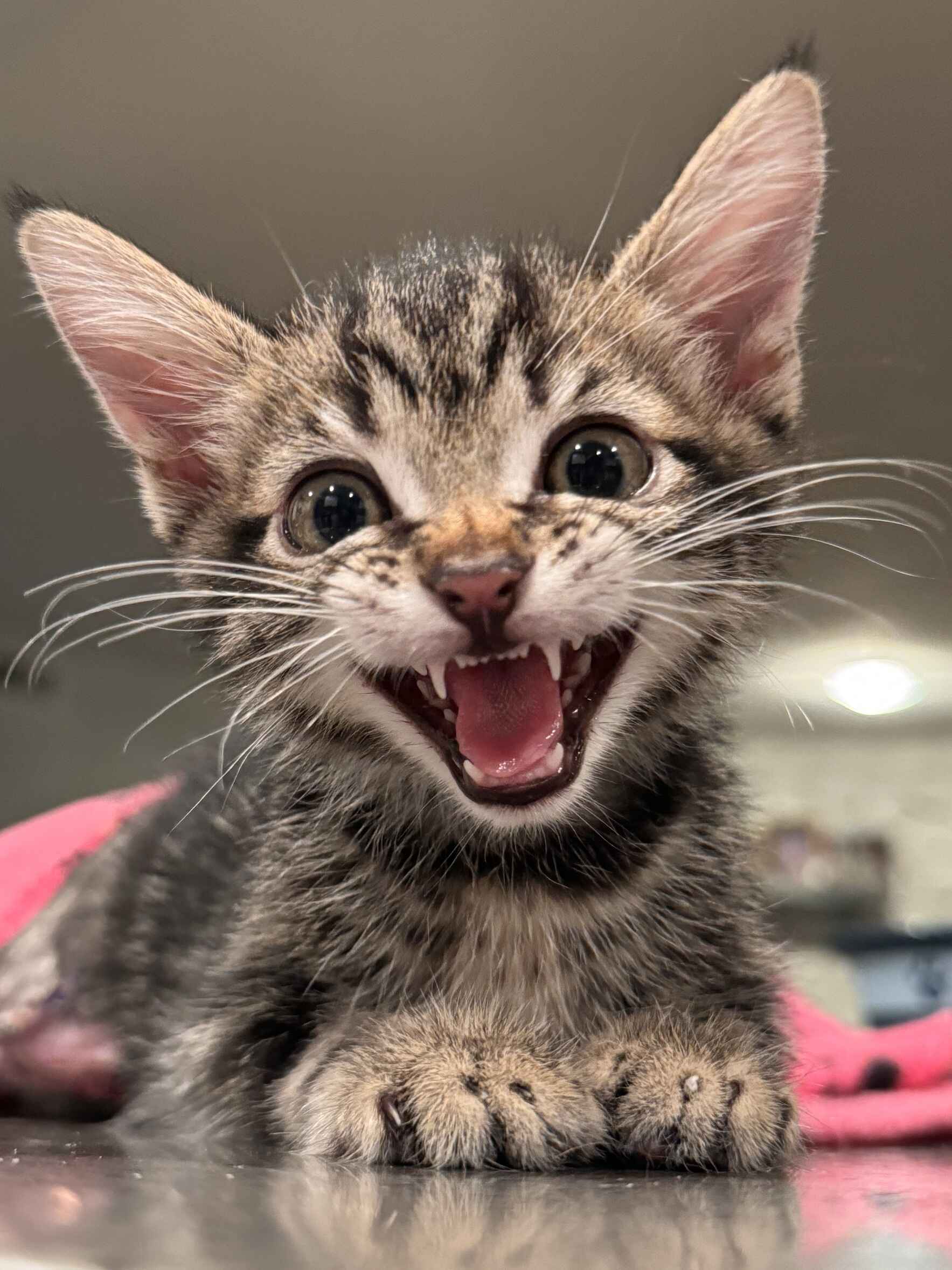 GIVING HOPE FOR GIVINGTUESDAY image