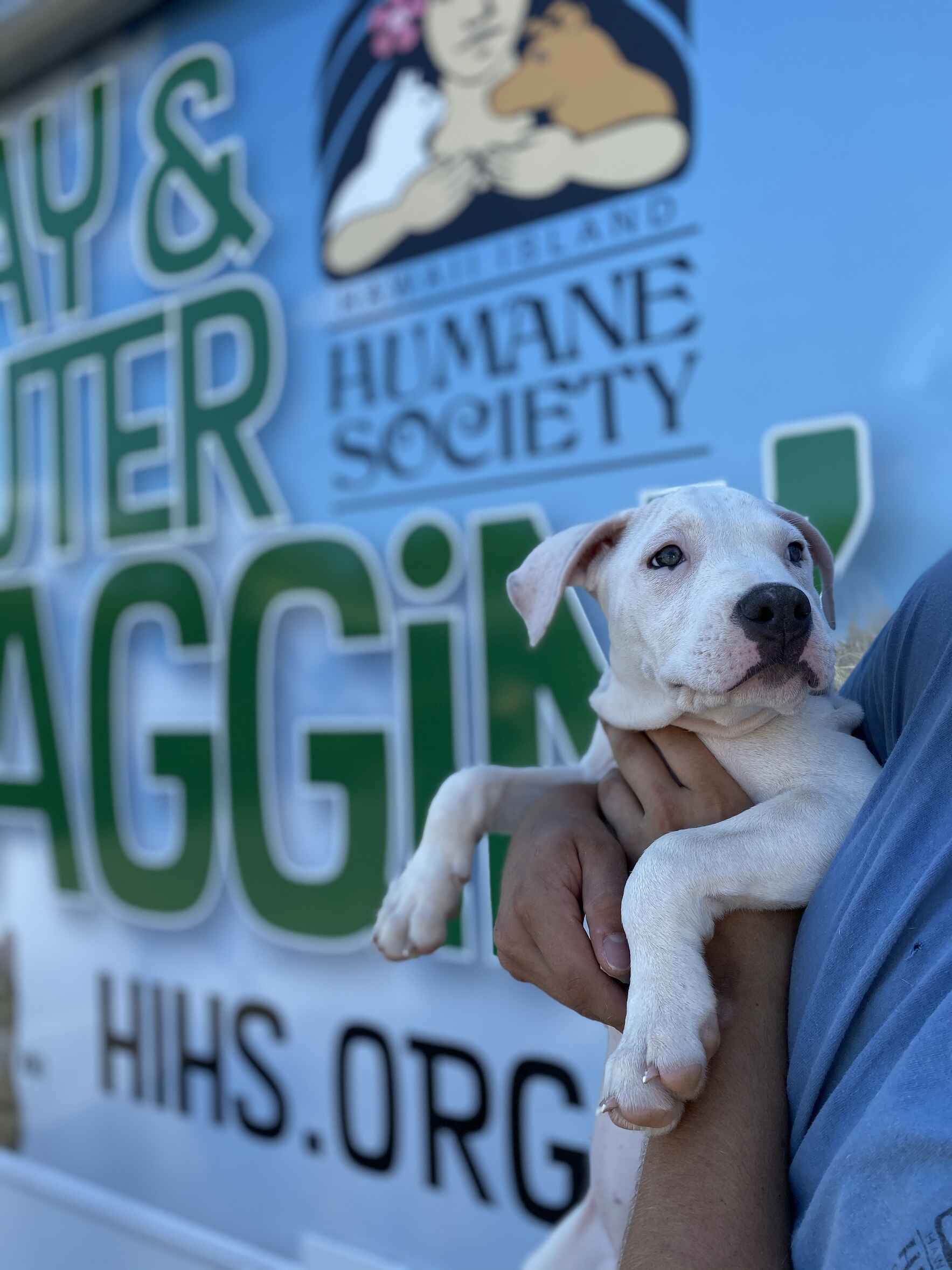 Make a Donation image