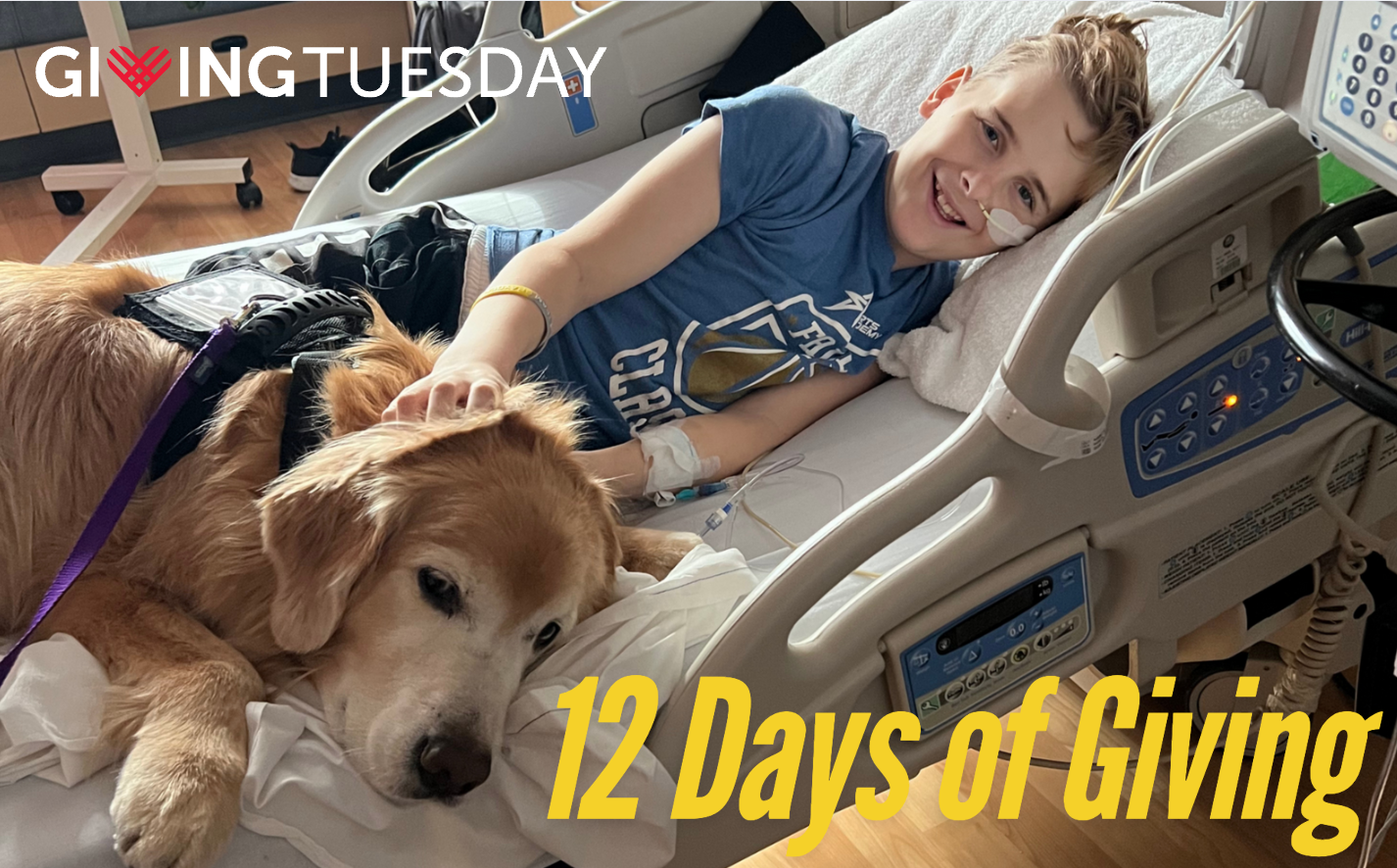12 Days of Giving to Help Fight Pediatric Cancer image