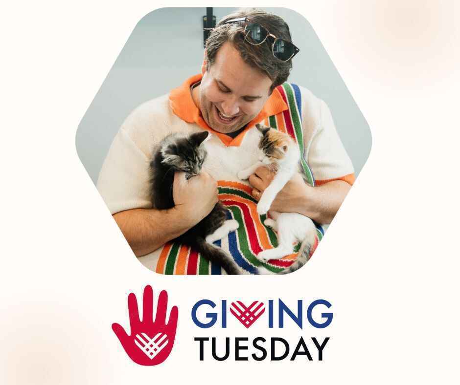 Giving Tuesday is HERE!! image