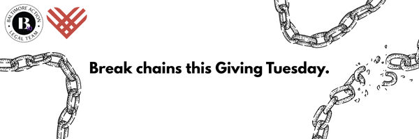 Break Systemic Chains This Giving Tuesday image