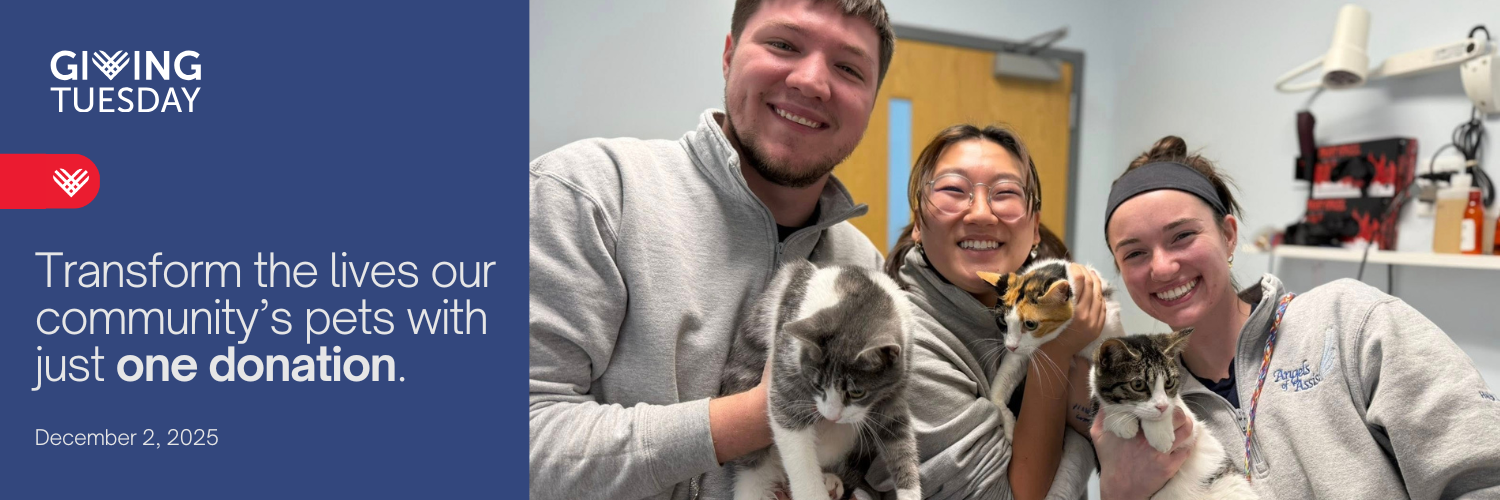 Giving Tuesday 2025 image