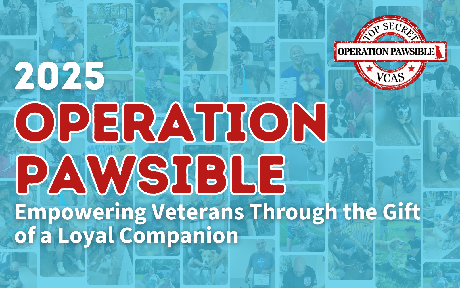 Operation Pawsible: Empowering Veterans Through the Gift of a Loyal Companion image