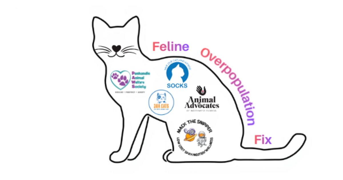 Save Our Cats and Kittens Inc - Feline Overpopulation Fix - Project #1