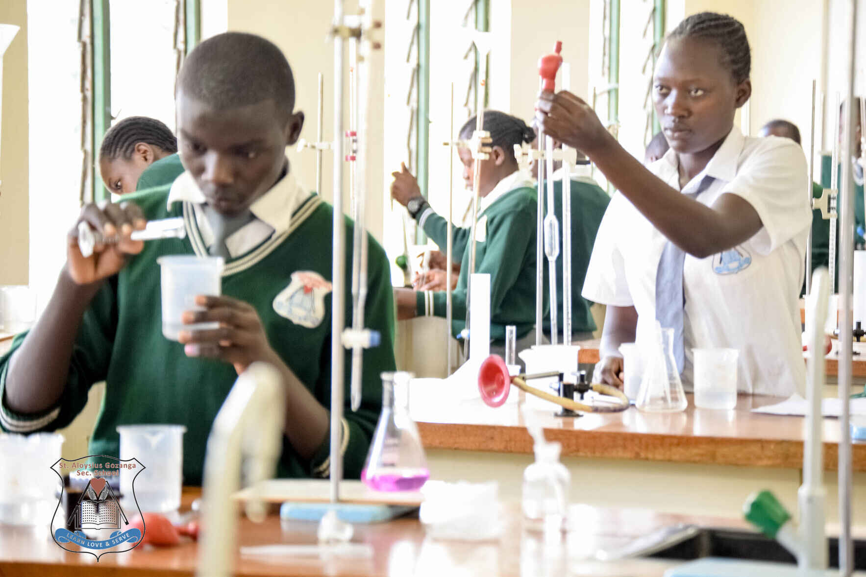 12 Days of Giving! image