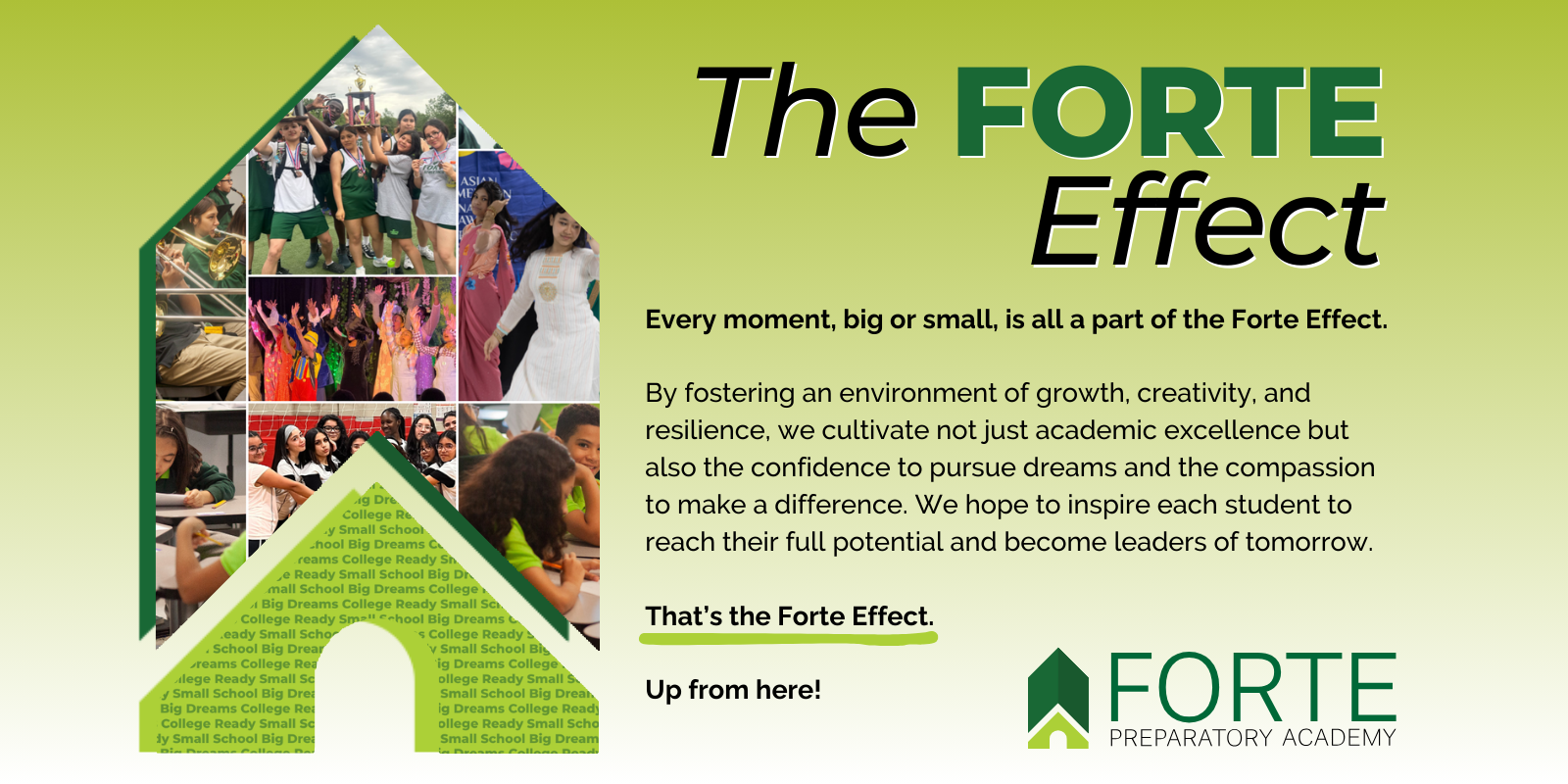 Together, we create The Forte Effect. image