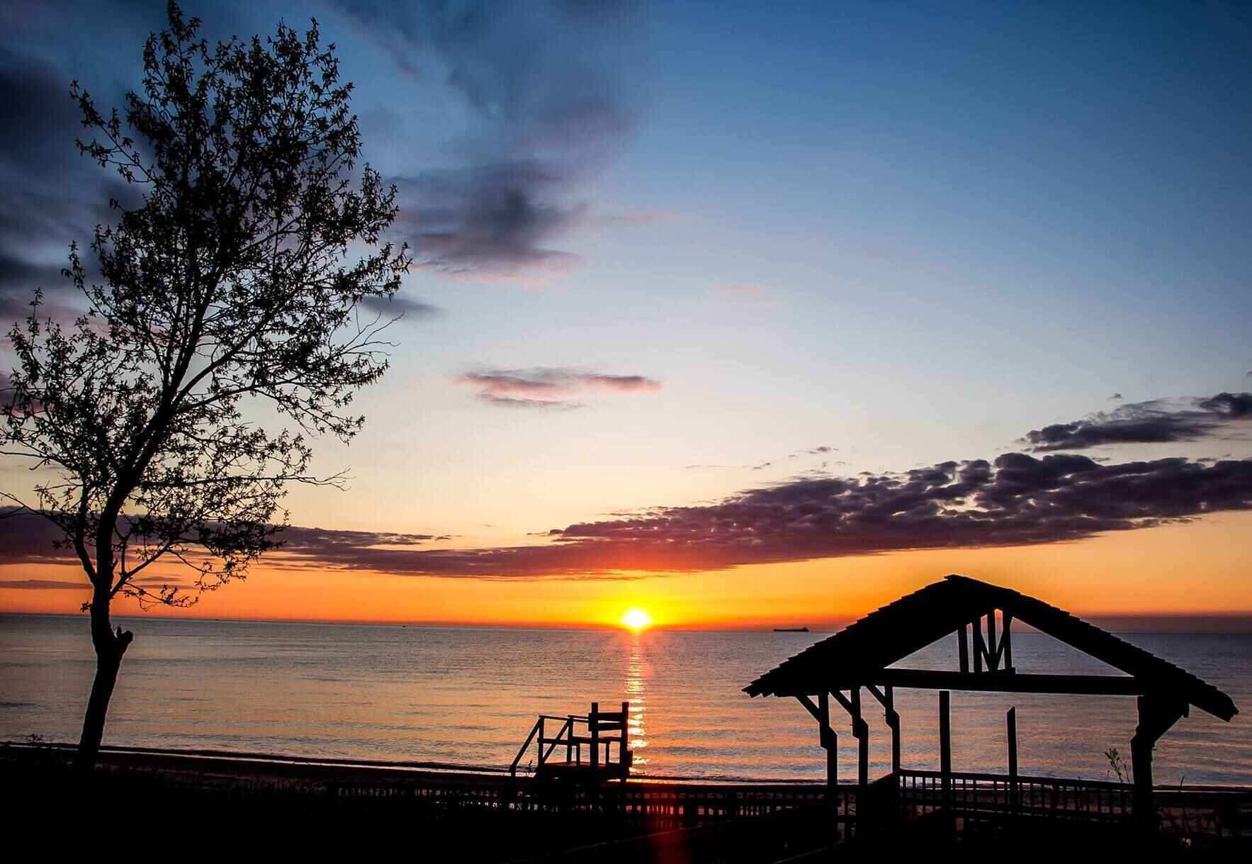  Giving Tuesday: Support Campers & Camp Cavell’s Restoration Projects image