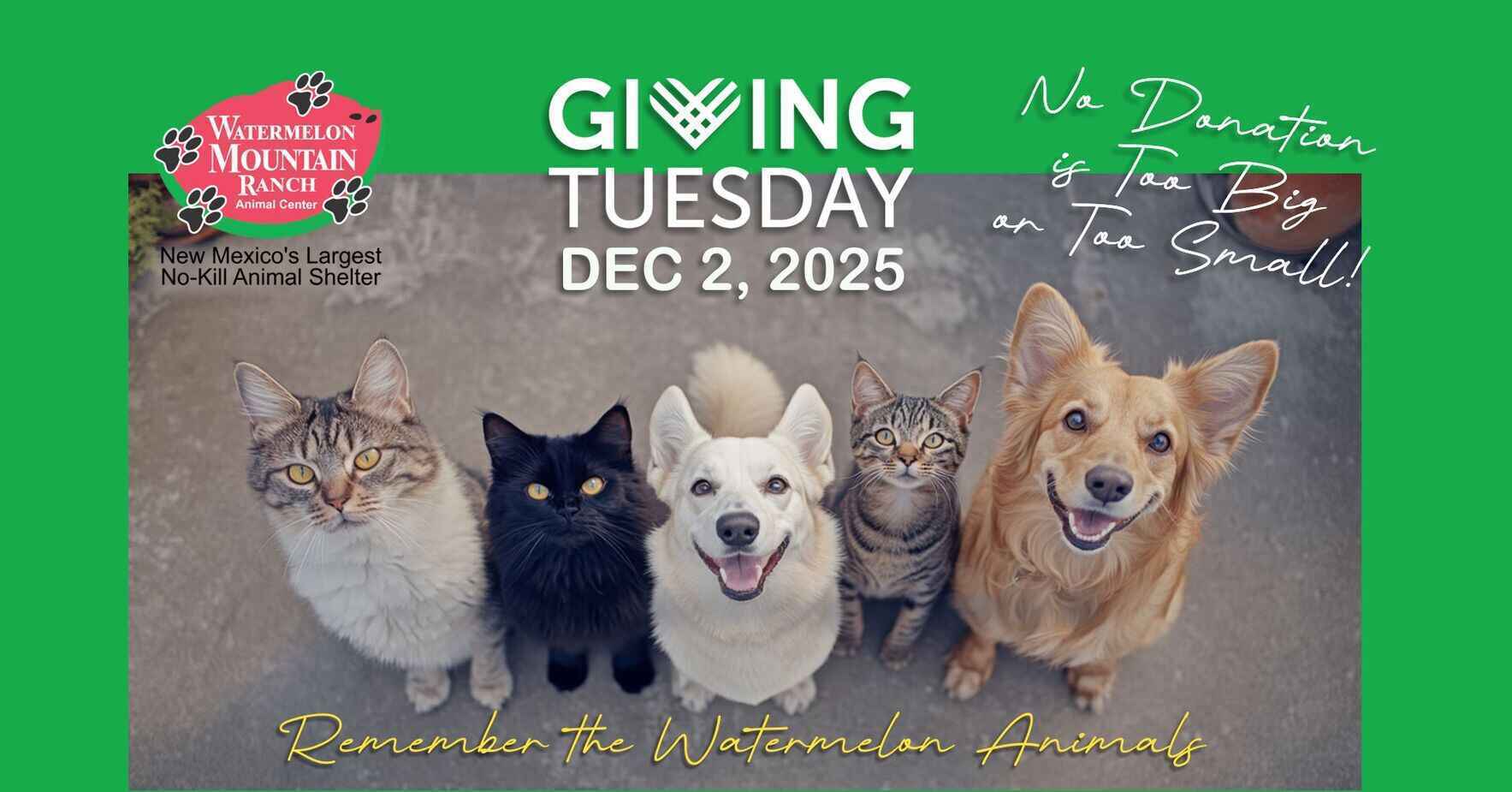 Remember the Watermelon Animals image