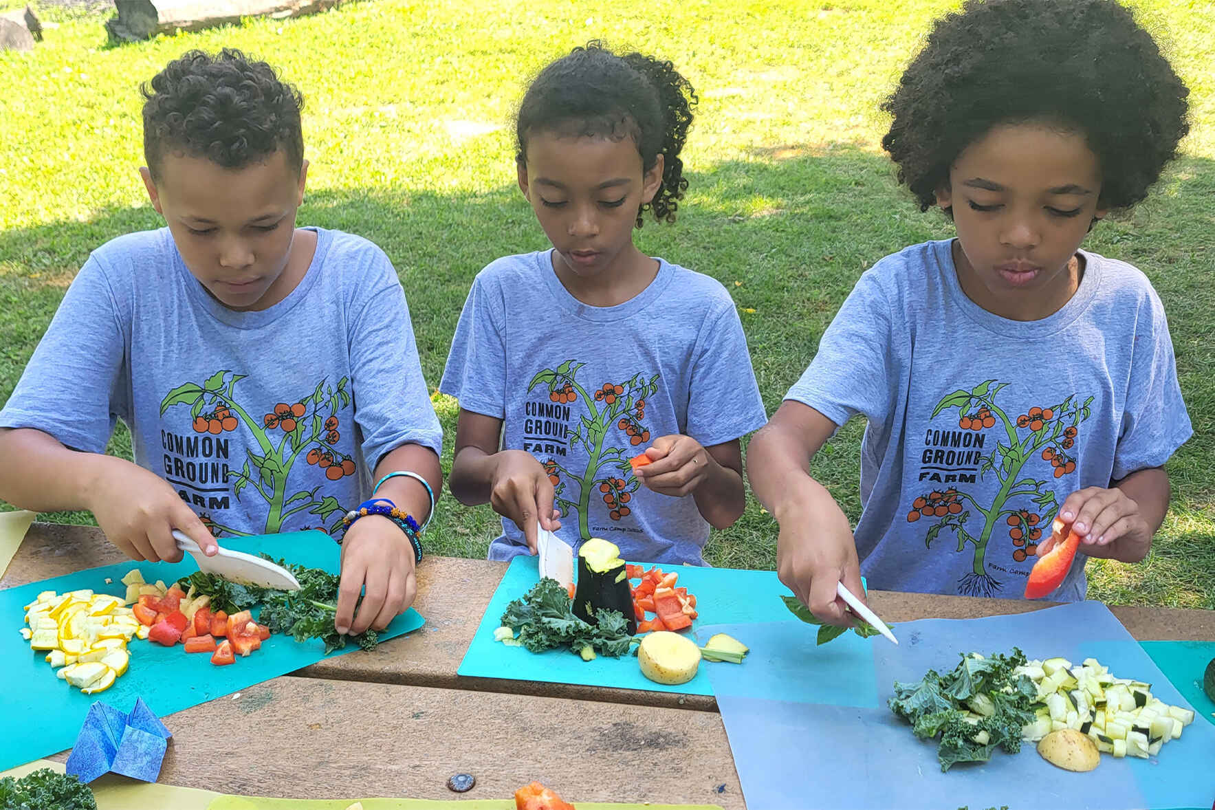 Support Local Food & Community Health image