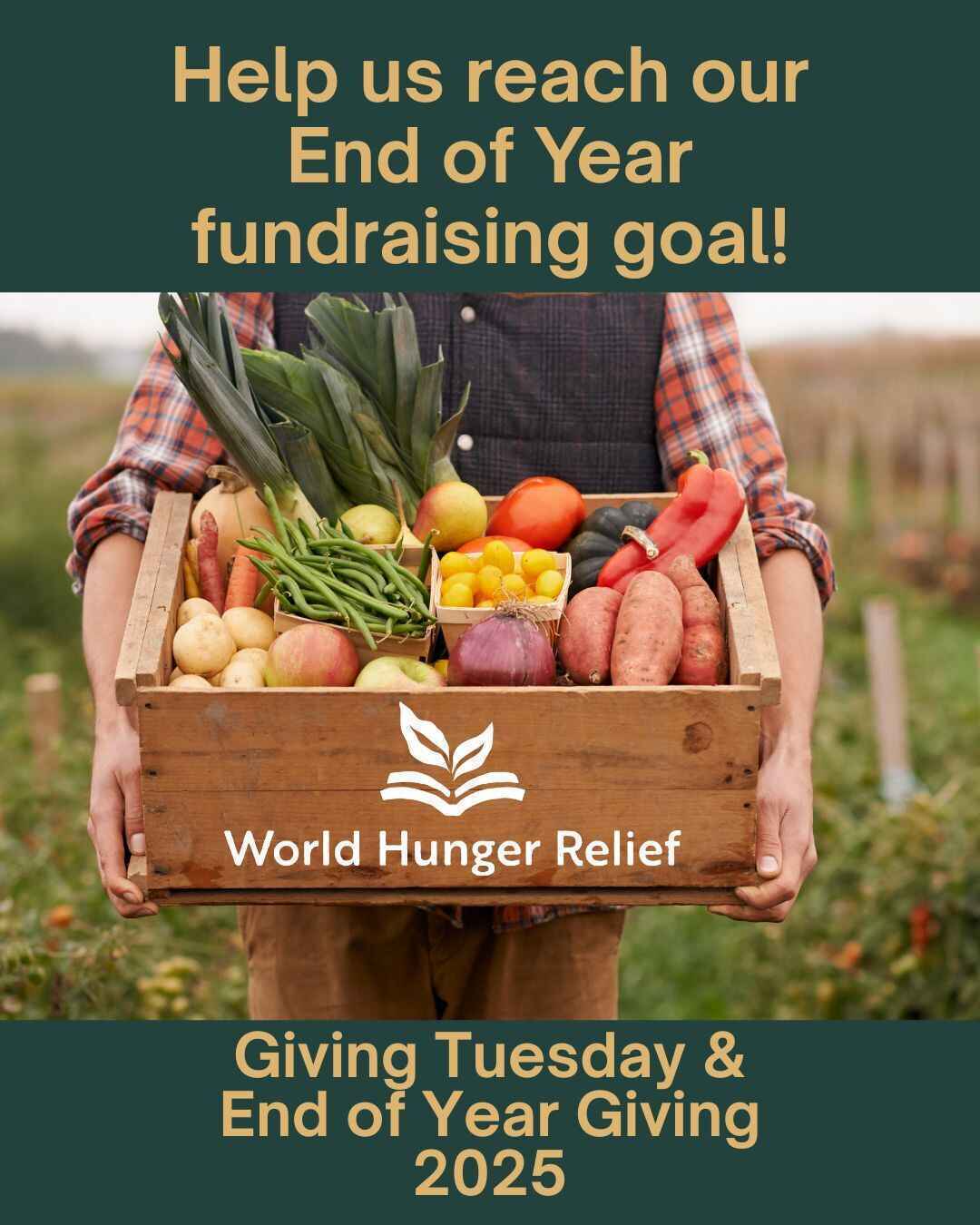 Growing Forward:50 Years of Cultivating Community image