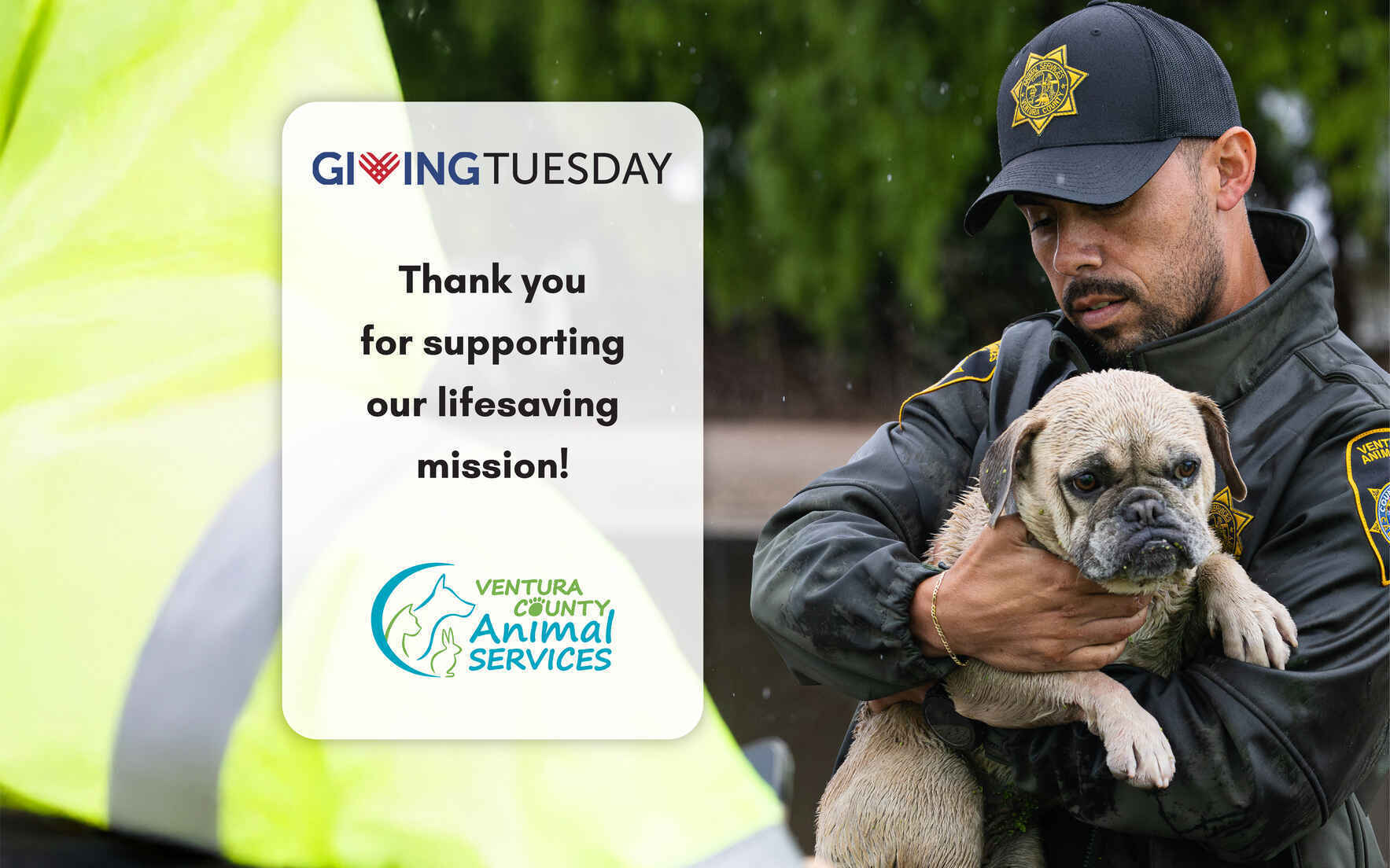 Giving Tuesday image